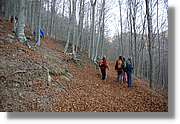 Montseny_162.jpg