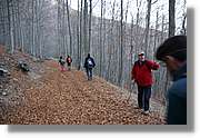 Montseny_167.jpg