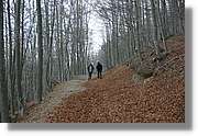 Montseny_168.jpg