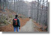Montseny_169.jpg