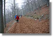 Montseny_171.jpg