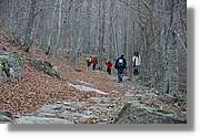 Montseny_179.jpg