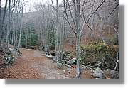 Montseny_180.jpg