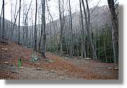 Montseny_182.jpg