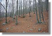 Montseny_183.jpg