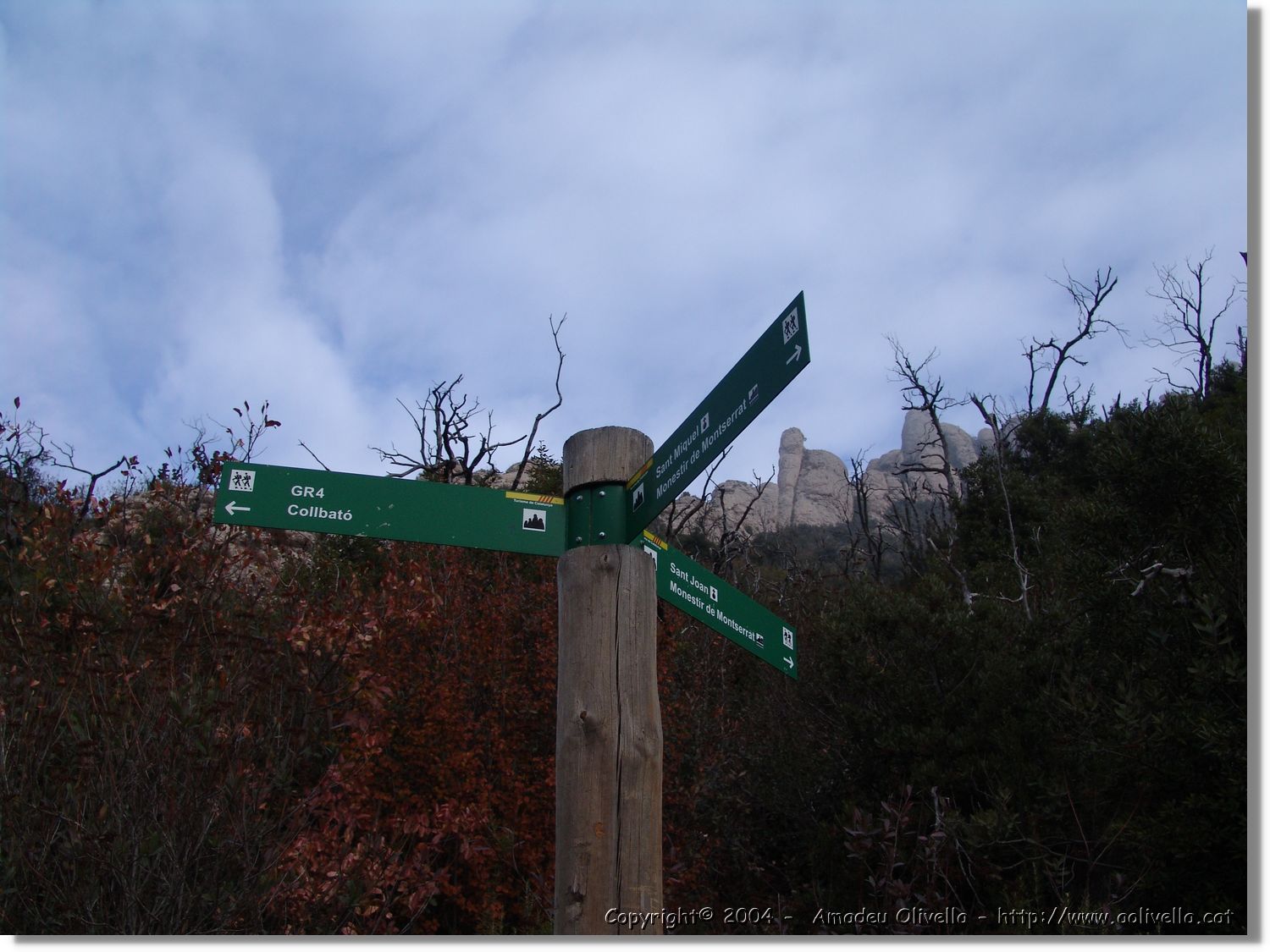 Montserrat_029.jpg