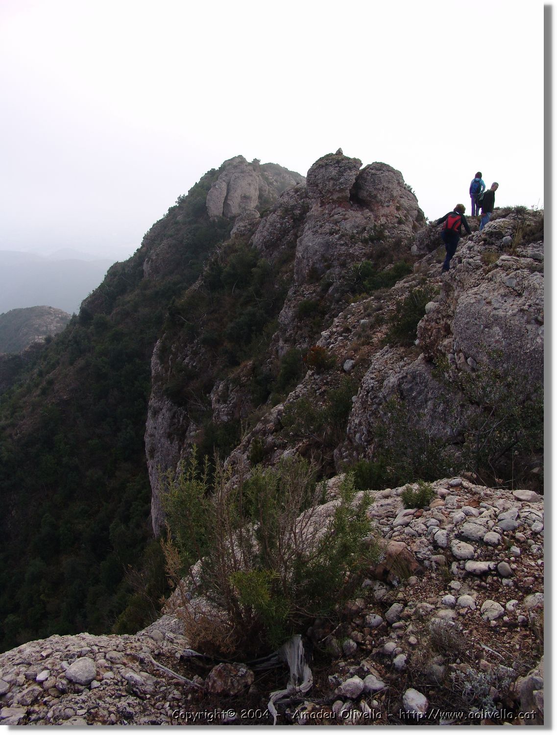 Montserrat_036.jpg