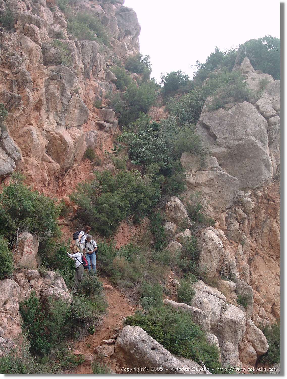 Montserrat_053.jpg