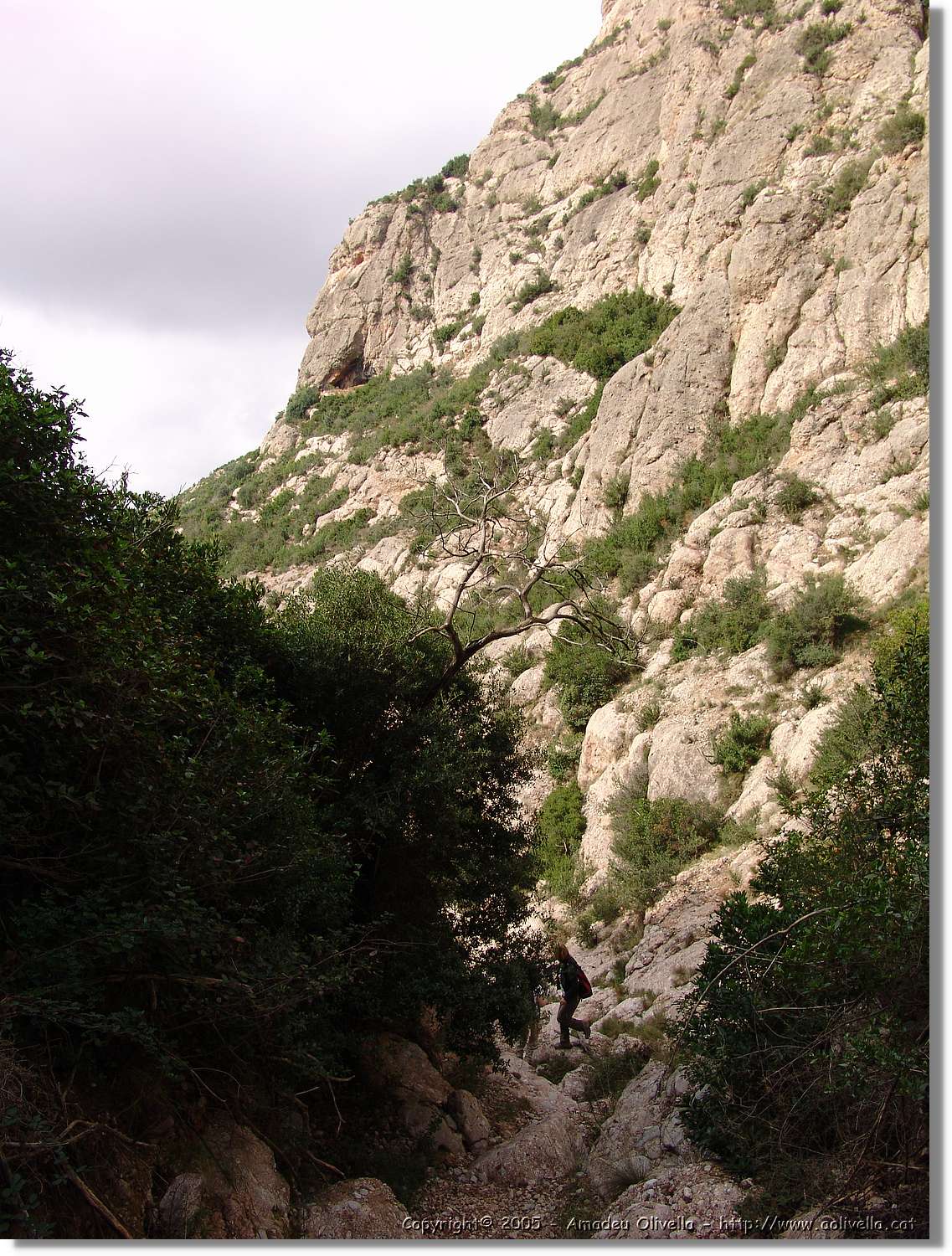 Montserrat_078.jpg