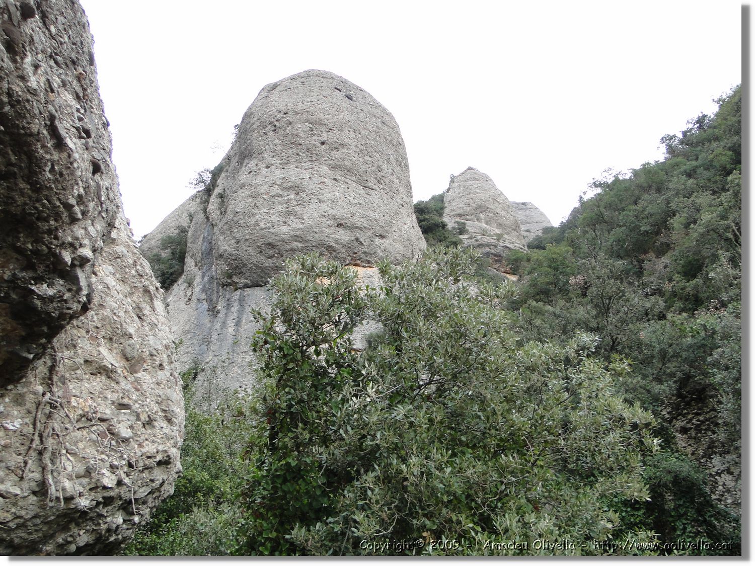 Montserrat_244.jpg