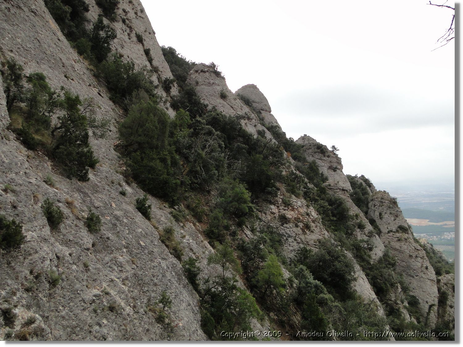 Montserrat_245.jpg