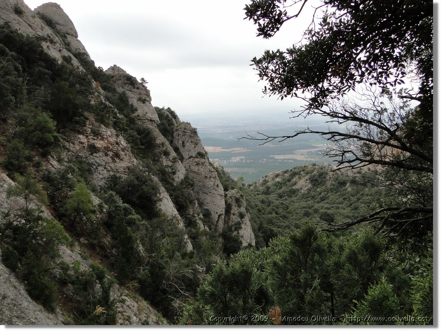 Montserrat_246.jpg