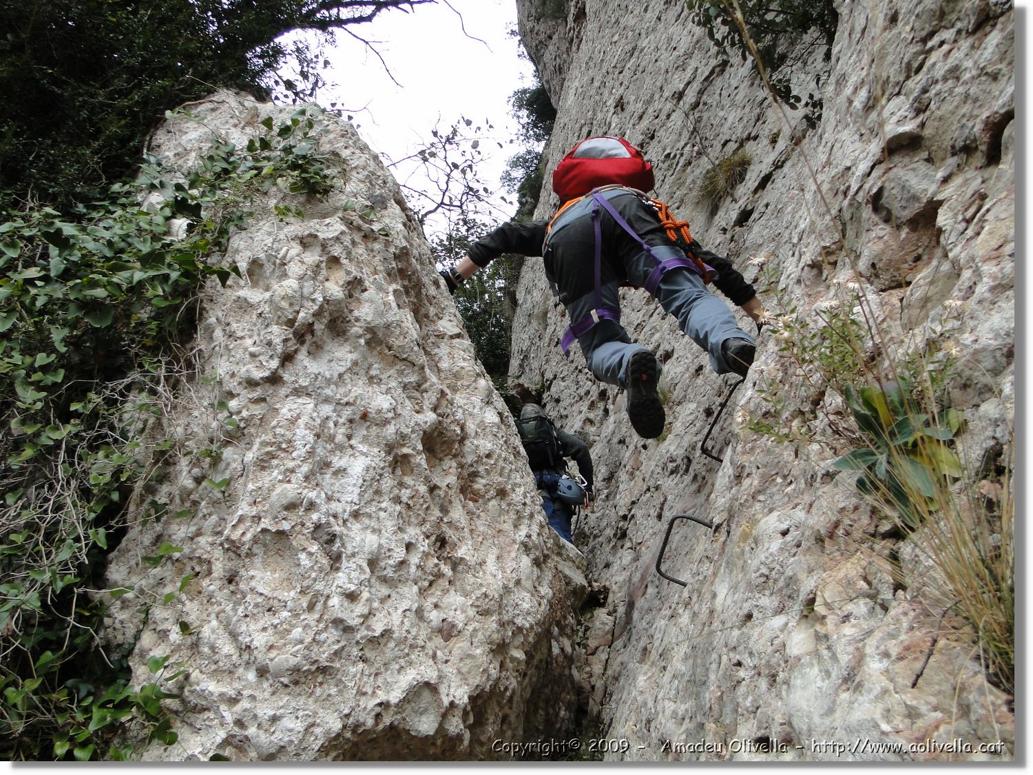 Montserrat_250.jpg