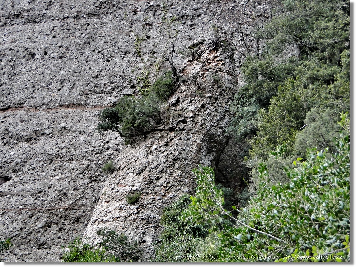 Montserrat_271.jpg