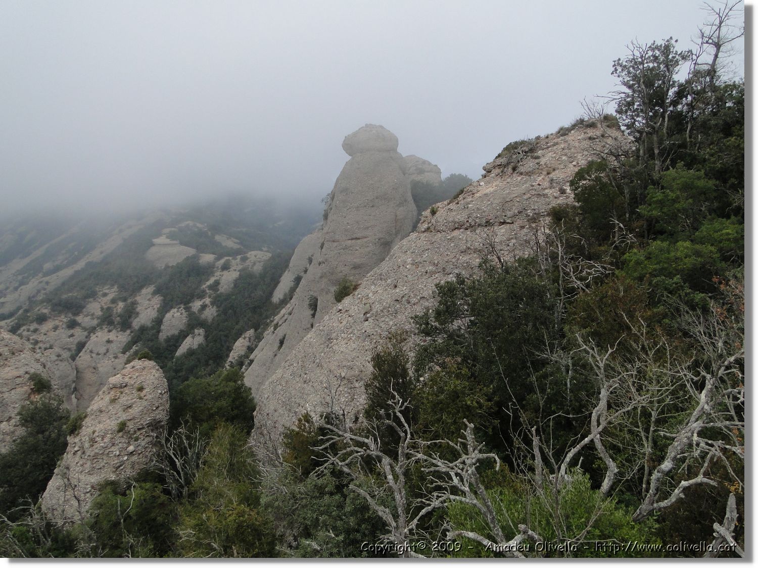 Montserrat_276.jpg
