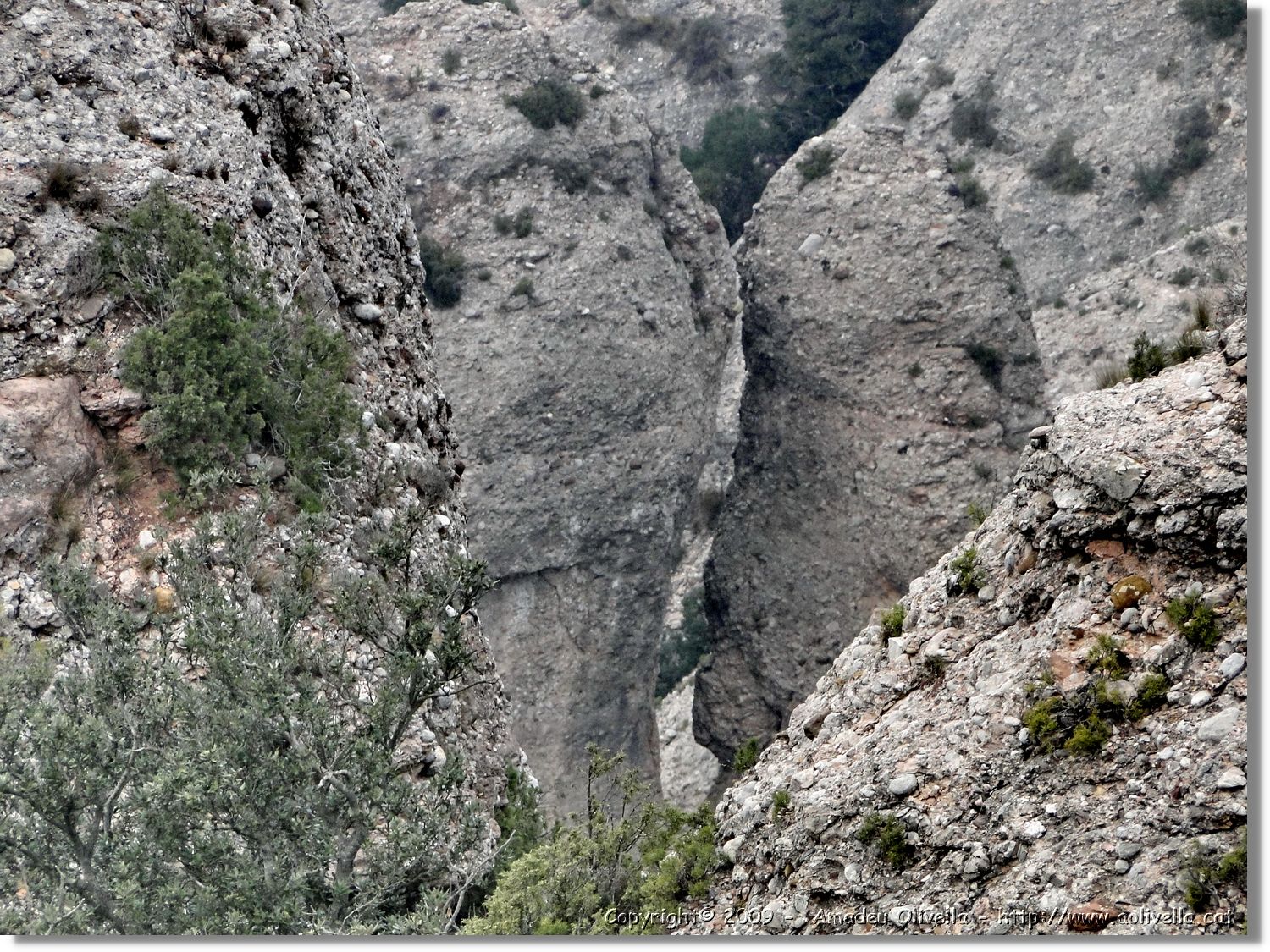 Montserrat_279.jpg