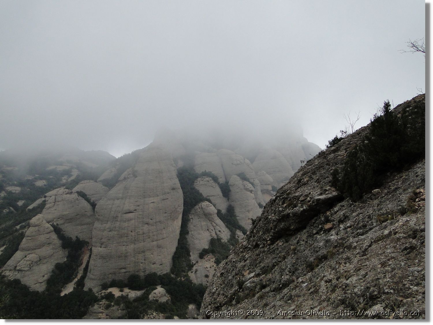 Montserrat_295.jpg