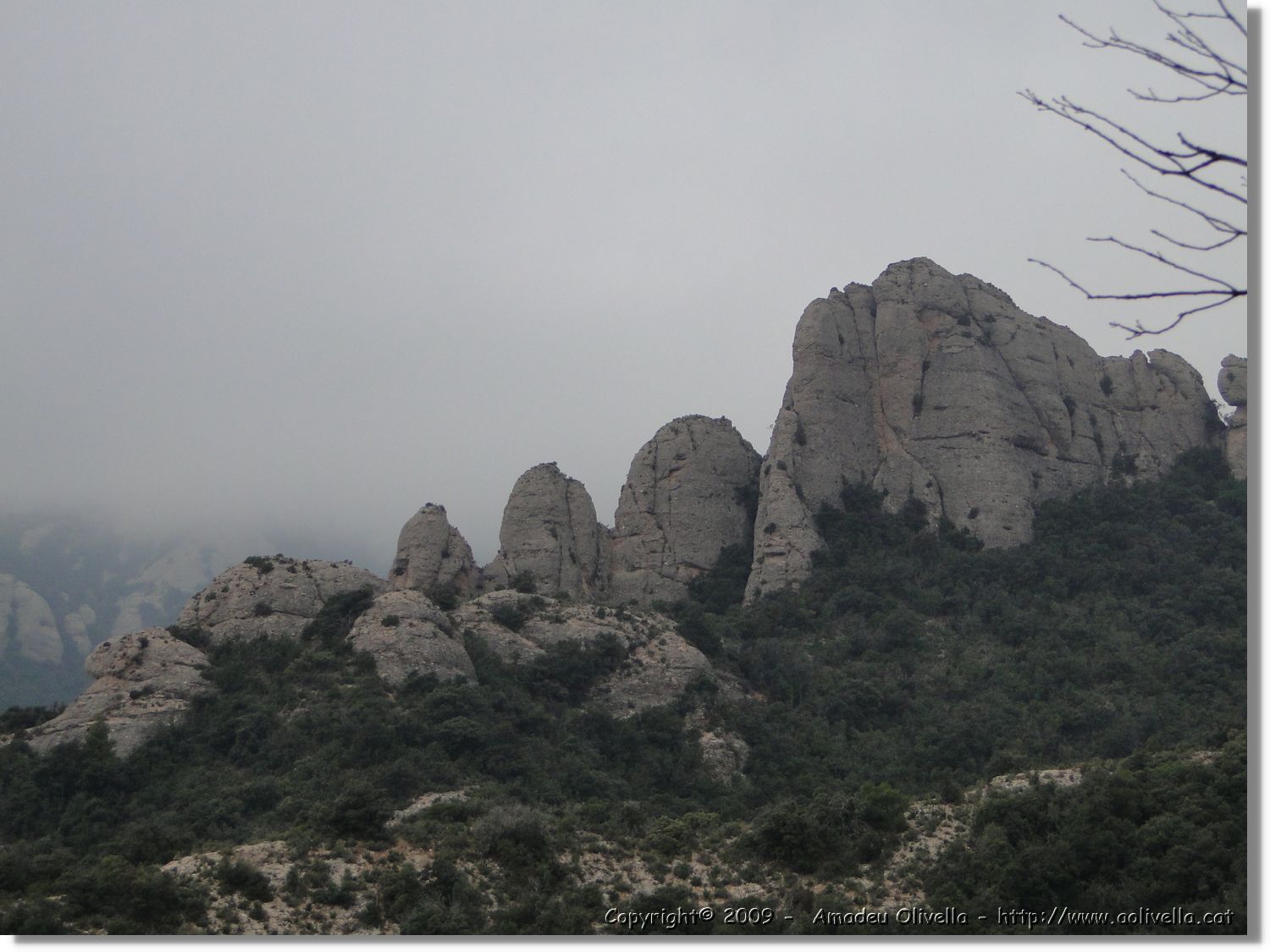 Montserrat_344.jpg