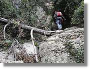 Montserrat_150.jpg