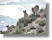 Montserrat_323.jpg
