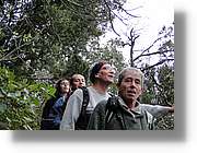 Montserrat_342.jpg