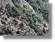 Montserrat_351.jpg