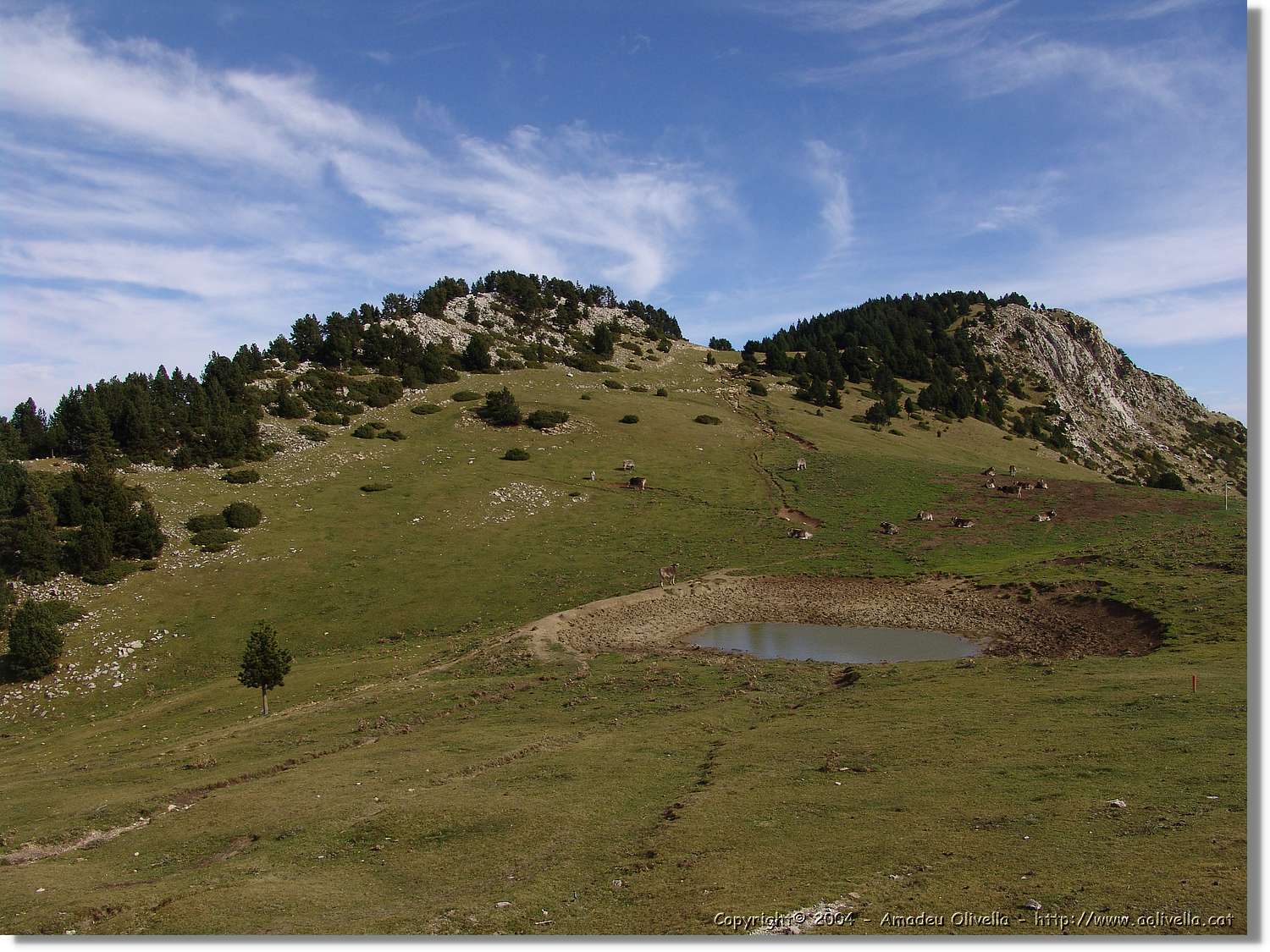 Peguera_053.jpg