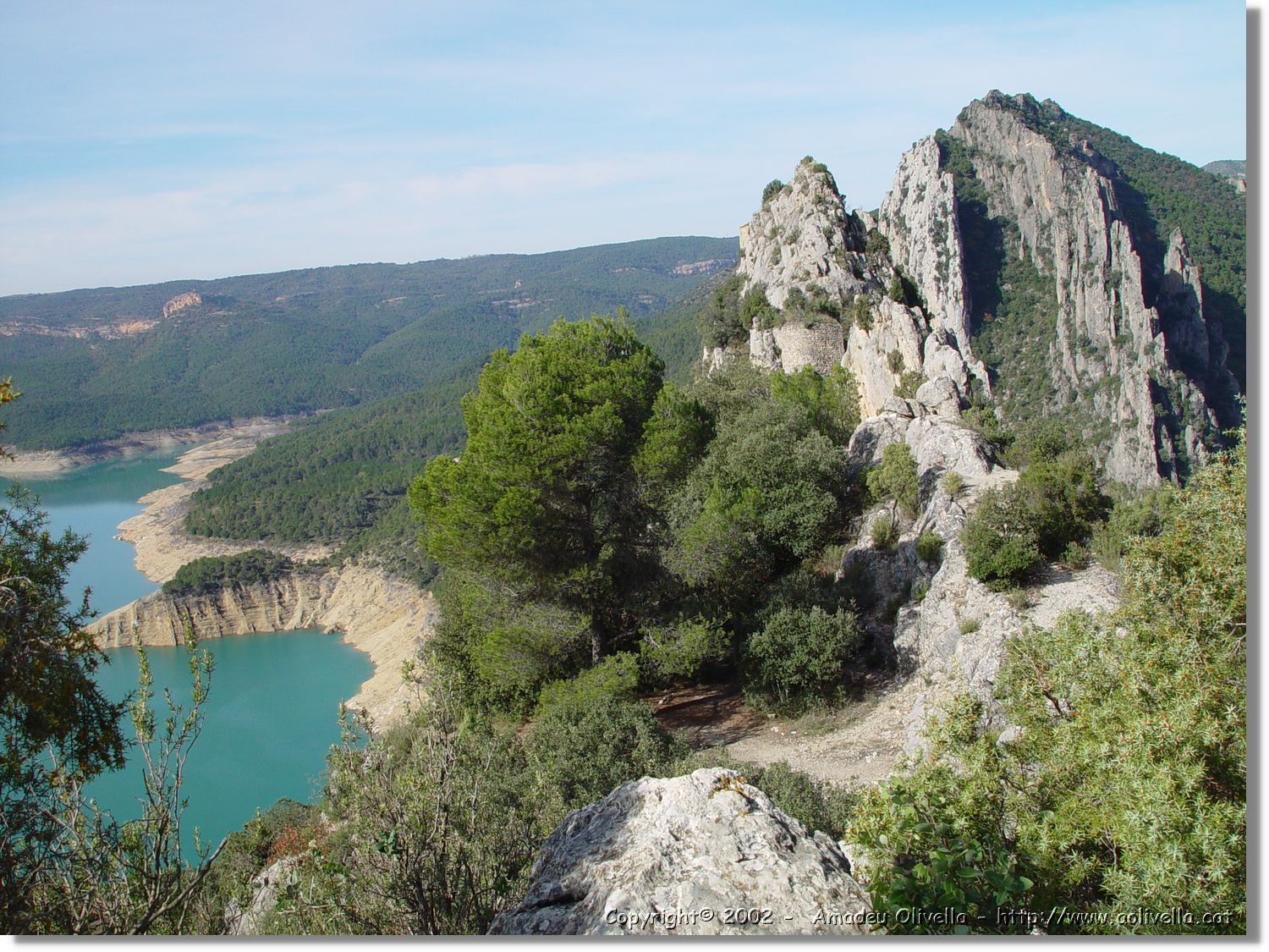 Pertusa_05.jpg