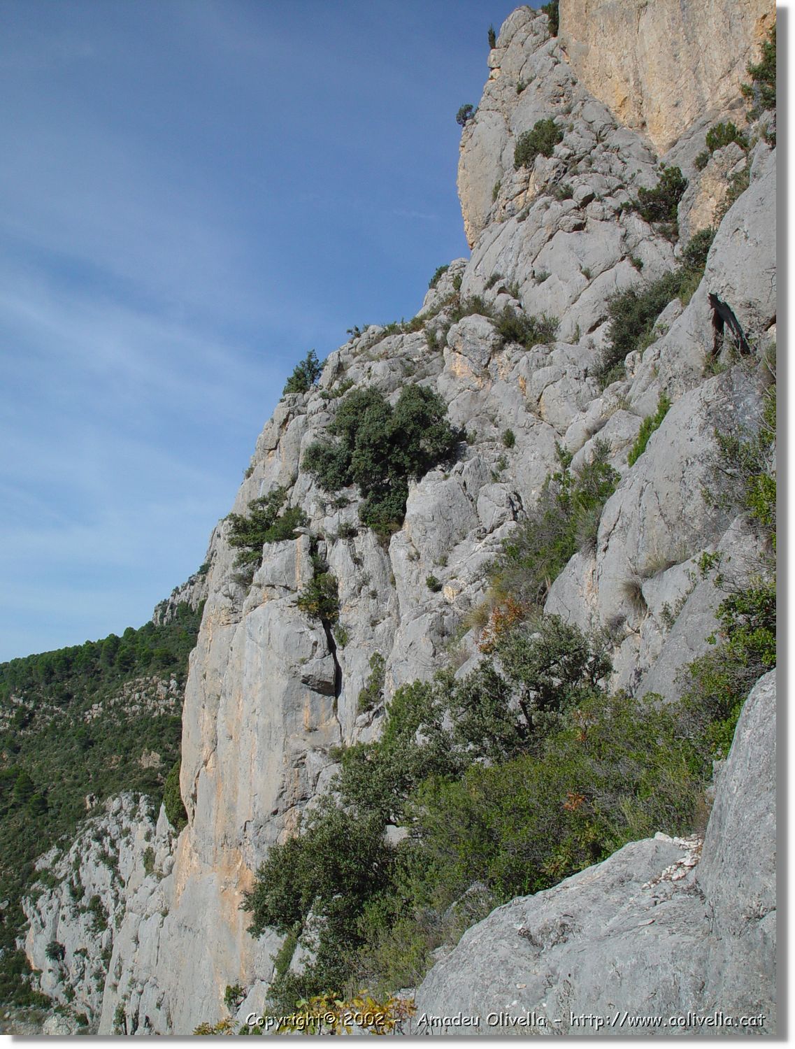 Pertusa_09.jpg