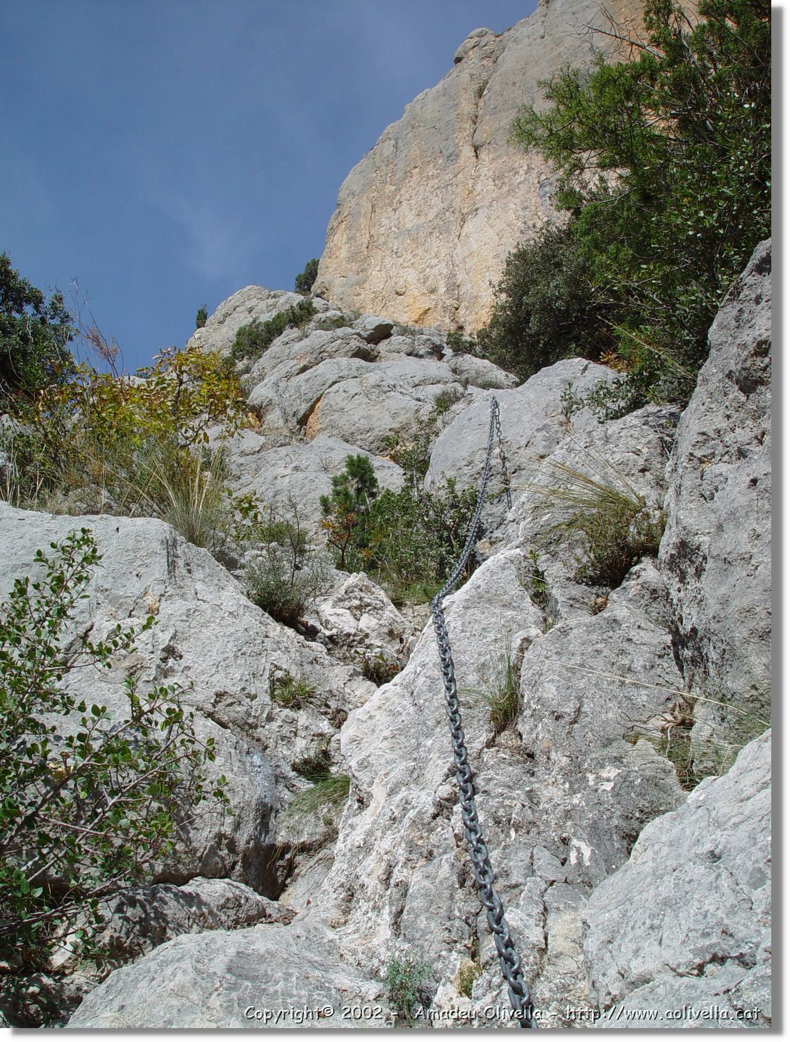 Pertusa_12.jpg