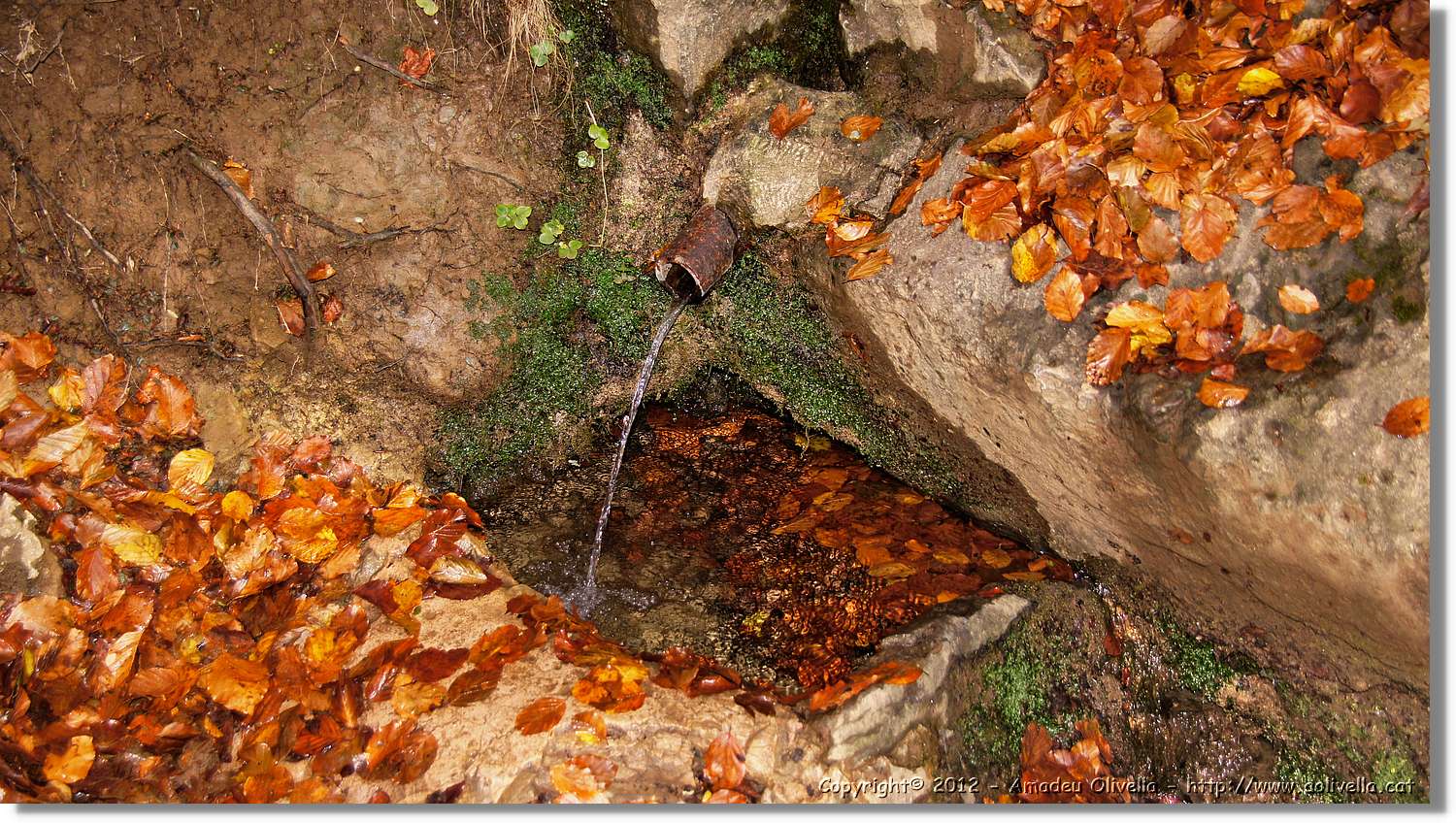Puigsacalm_018.jpg