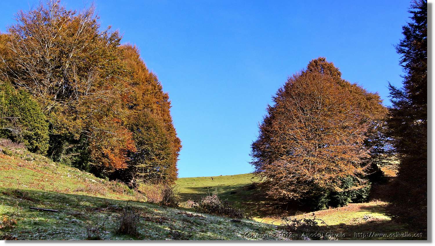 Puigsacalm_027.jpg
