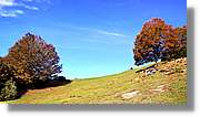 Puigsacalm_026.jpg