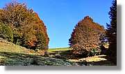 Puigsacalm_027.jpg