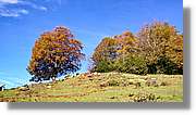 Puigsacalm_028.jpg