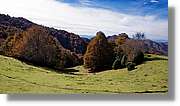Puigsacalm_030.jpg