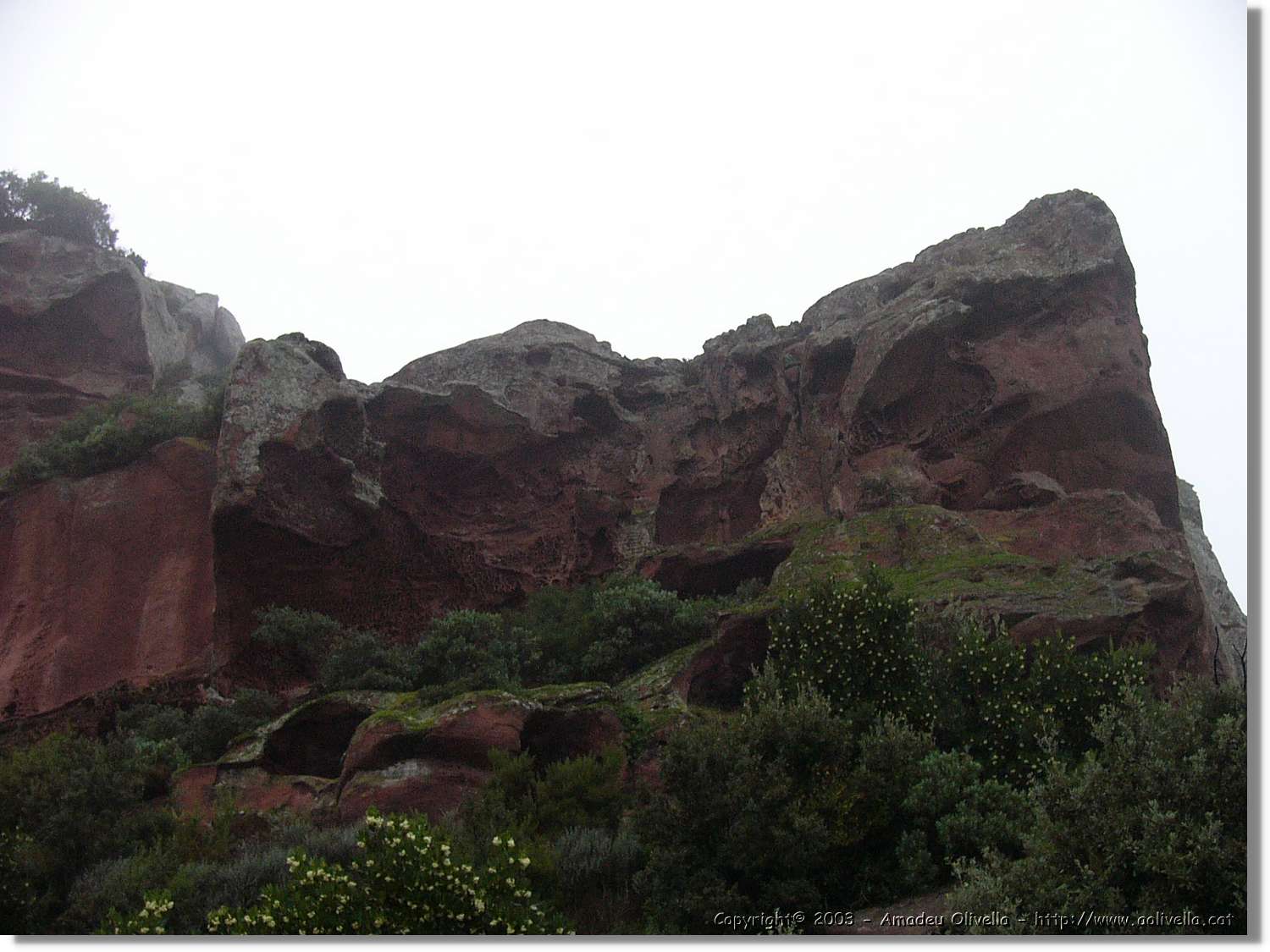 roca_19.jpg