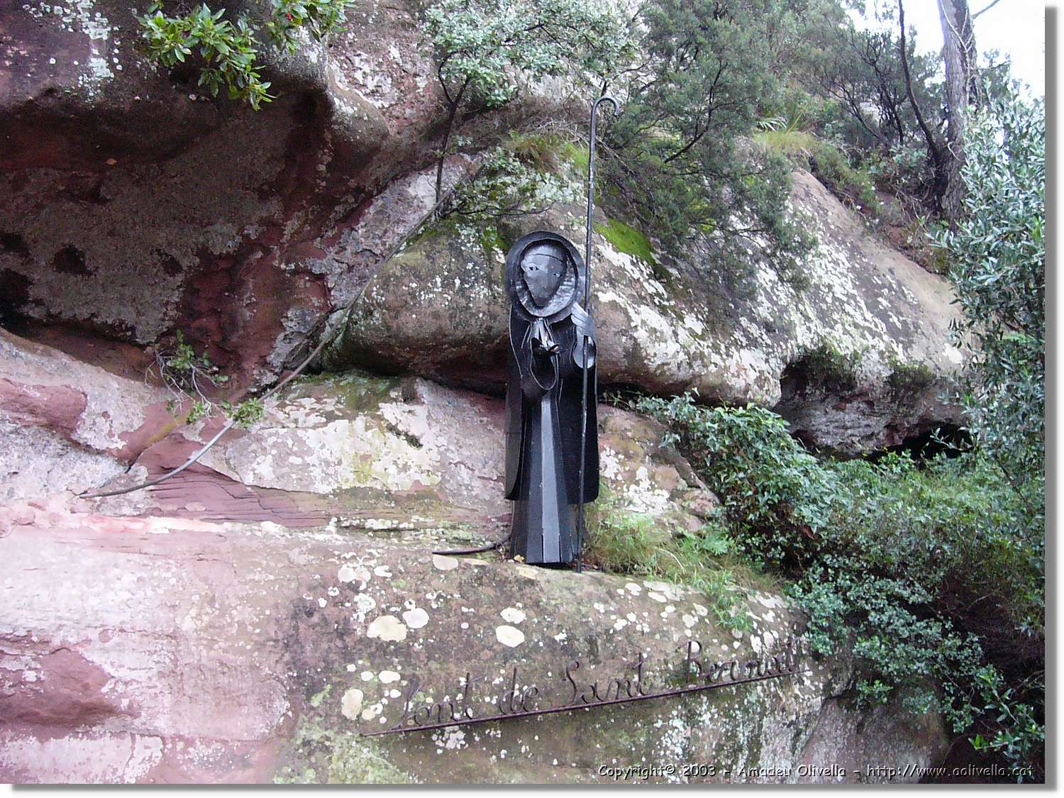 roca_51.jpg