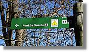 SMFormigues__029.jpg