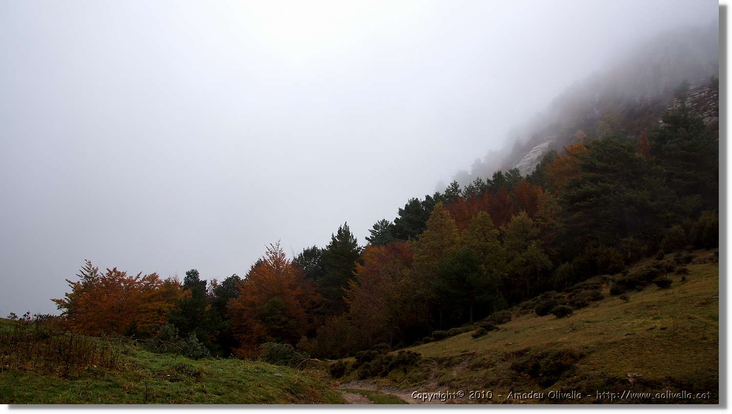 St.Amand_032.jpg
