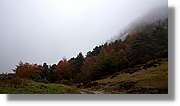 St.Amand_032.jpg