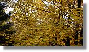 St.Amand_040.jpg