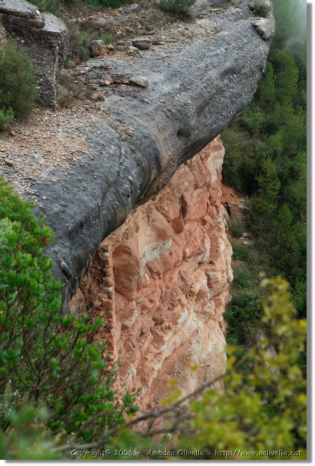 Tines_066.jpg