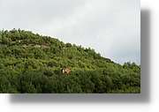Tines_088.jpg
