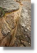 Tines_115.jpg