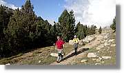 Baciver_007.jpg