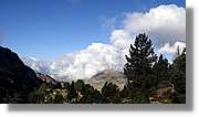 Baciver_016.jpg