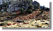 Baciver_019.jpg