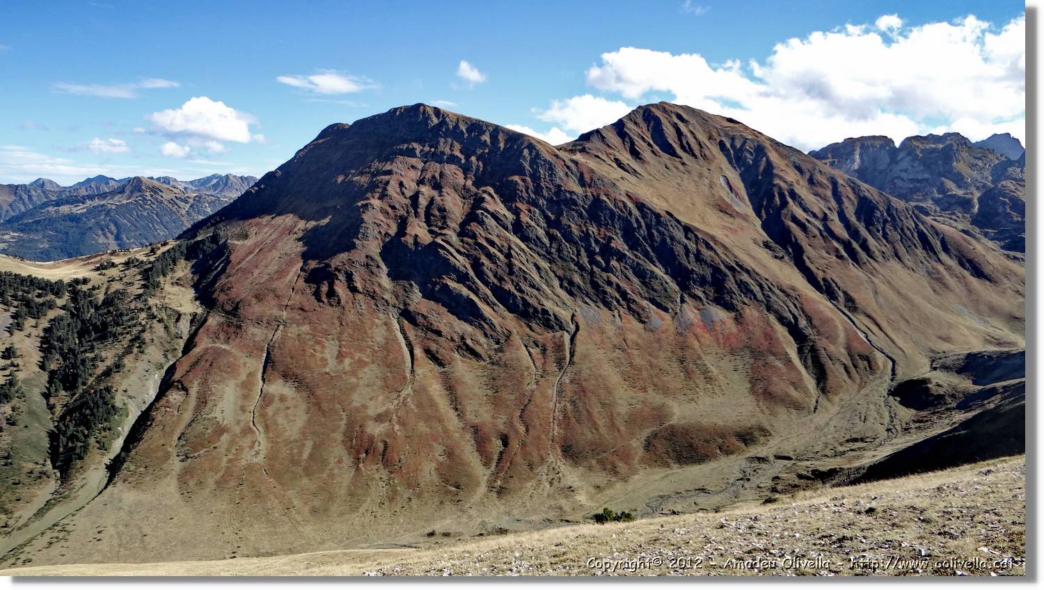 Tuca_031.jpg