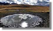 Tuca_050.jpg